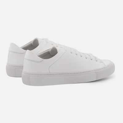 Reid Sneakers - Women’s